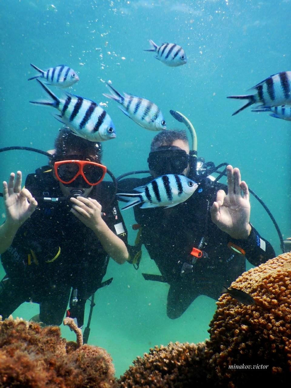 SCUBA DIVING IN THE NORTH OF THE ISLAND PHU QUOC (SCUBA DIVING IN THE
